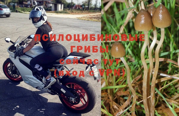 COCAINE Калининец