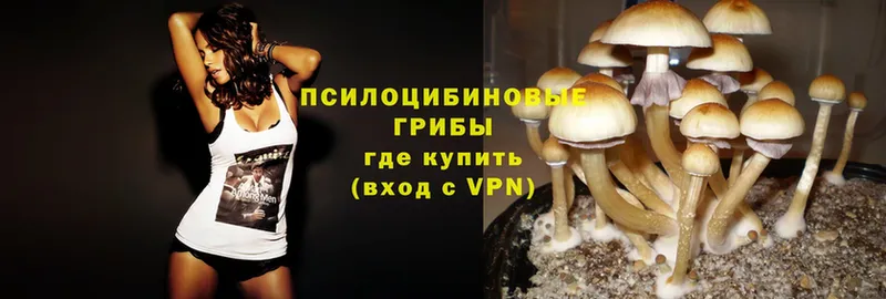 Псилоцибиновые грибы Magic Shrooms  Агрыз 