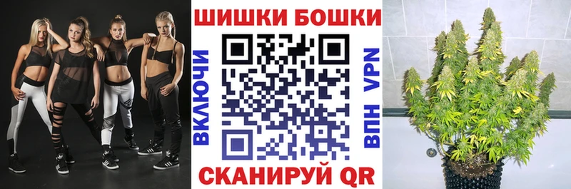 Конопля сатива  Агрыз 